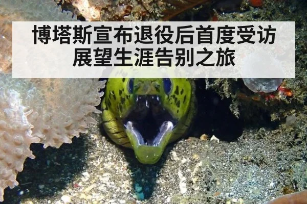 博塔斯宣布退役后首度受访 展望生涯告别之旅